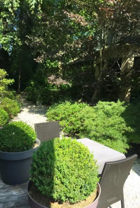 Vue depuis la terrasse du restaurant